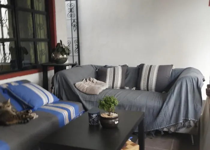 Homestay Oasis Citadino Mexico City